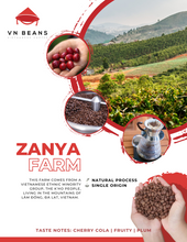 Load image into Gallery viewer, Zanya Farm - Double Washed - Single Origin Arabica Coffee Beans From Vietnam
