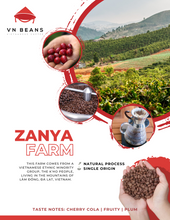 Load image into Gallery viewer, Zanya Farm - Double Washed - Single Origin Arabica Coffee Beans From Vietnam