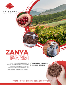 Zanya Farm - Double Washed - Single Origin Arabica Coffee Beans From Vietnam